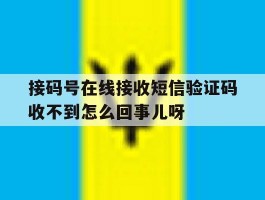 包含接码号在线接收短信验证码收不到怎么回事儿呀的词条
