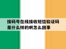 接码号在线接收短信验证码是什么样的啊怎么回事的简单介绍
