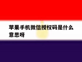 苹果手机微信授权码是什么意思呀
