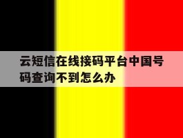 包含云短信在线接码平台中国号码查询不到怎么办的词条