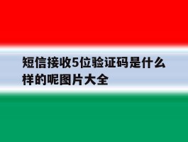 短信接收5位验证码是什么样的呢图片大全