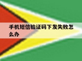 手机短信验证码下发失败怎么办