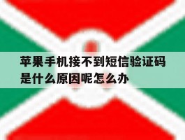 苹果手机接不到短信验证码是什么原因呢怎么办的简单介绍