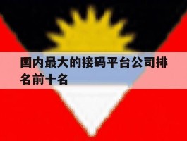 国内最大的接码平台公司排名前十名