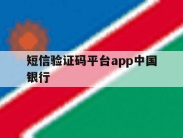 短信验证码平台app中国银行
