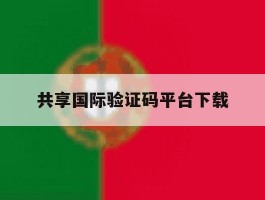 共享国际验证码平台下载