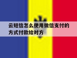 云短信怎么使用微信支付的方式付款给对方的简单介绍