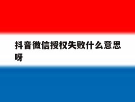 抖音微信授权失败什么意思呀