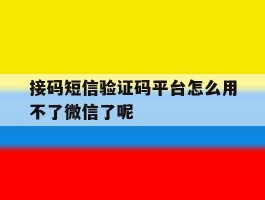 接码短信验证码平台怎么用不了微信了呢的简单介绍